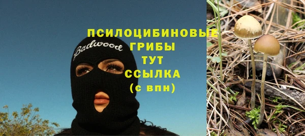 хмурый Волоколамск