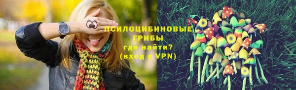 хмурый Волоколамск
